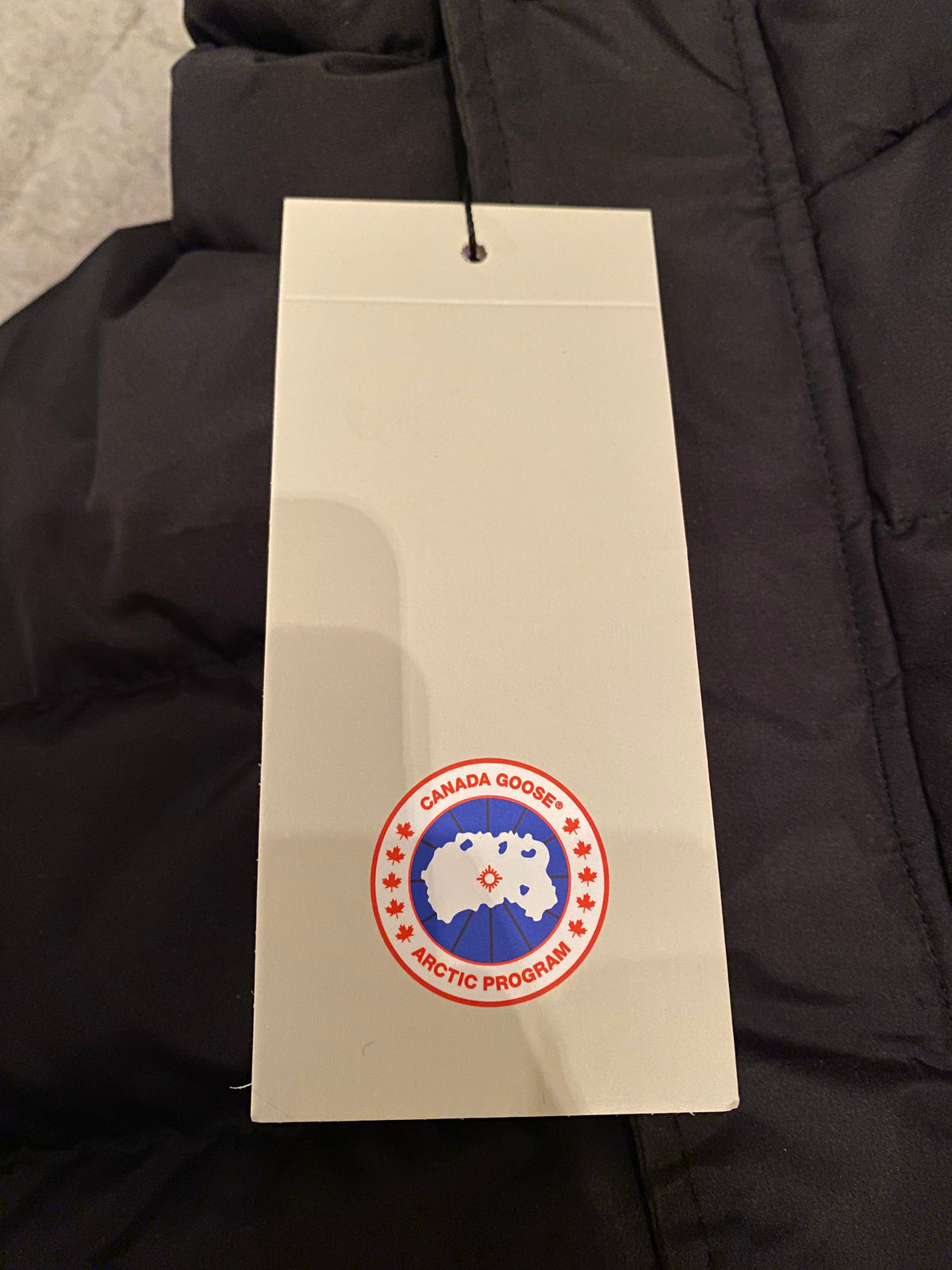 Canada Goose Freestyle Crew Αμάνικο Μαύρο